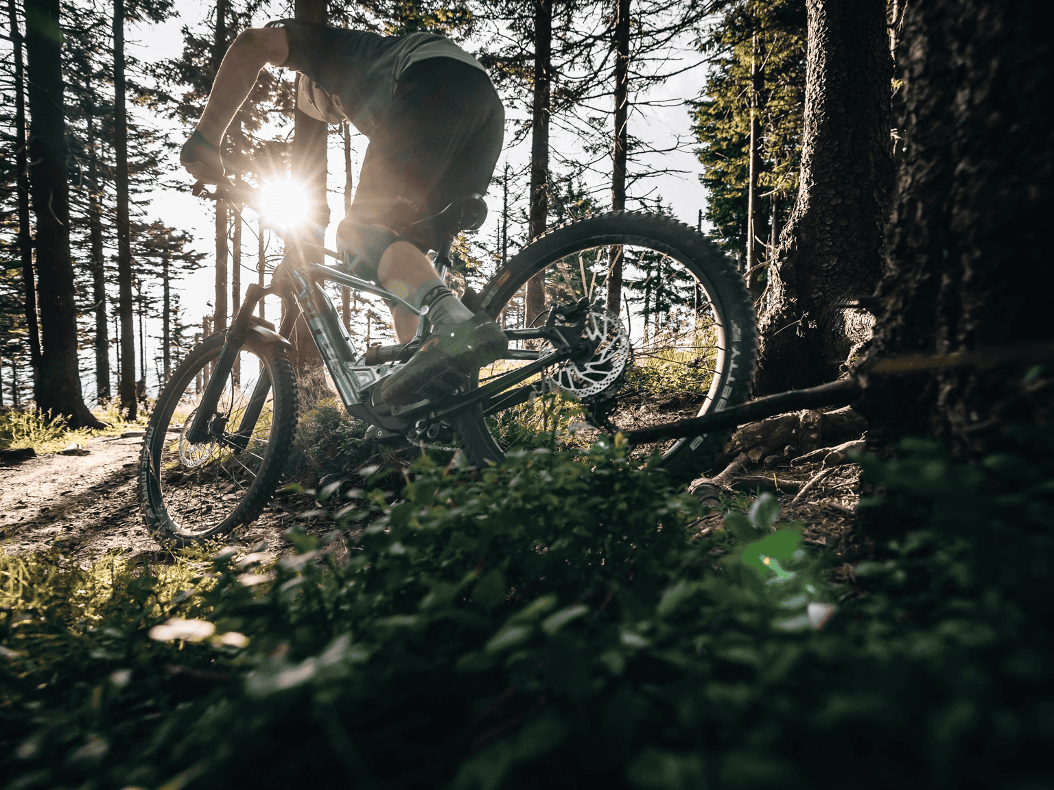 E-Bike Standard — in Aktion