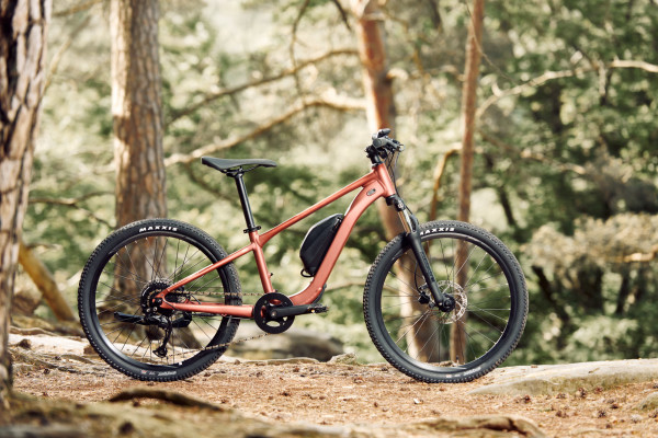 Giant Talon E+ Jr 24" — Kinder-E-MTB