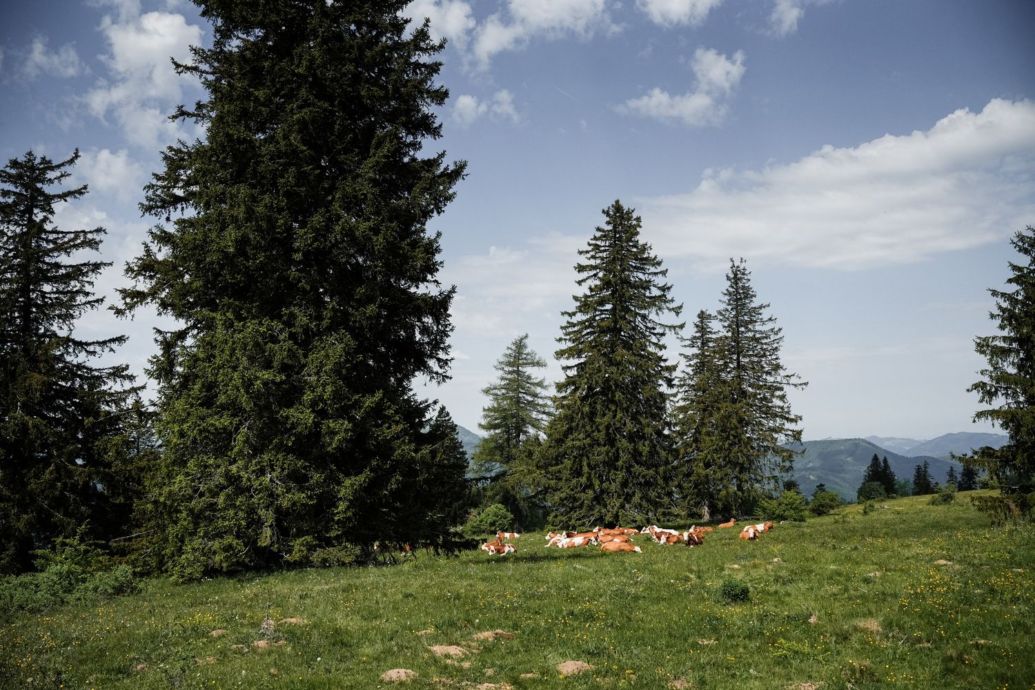 Bike-Lifestyle in der Region