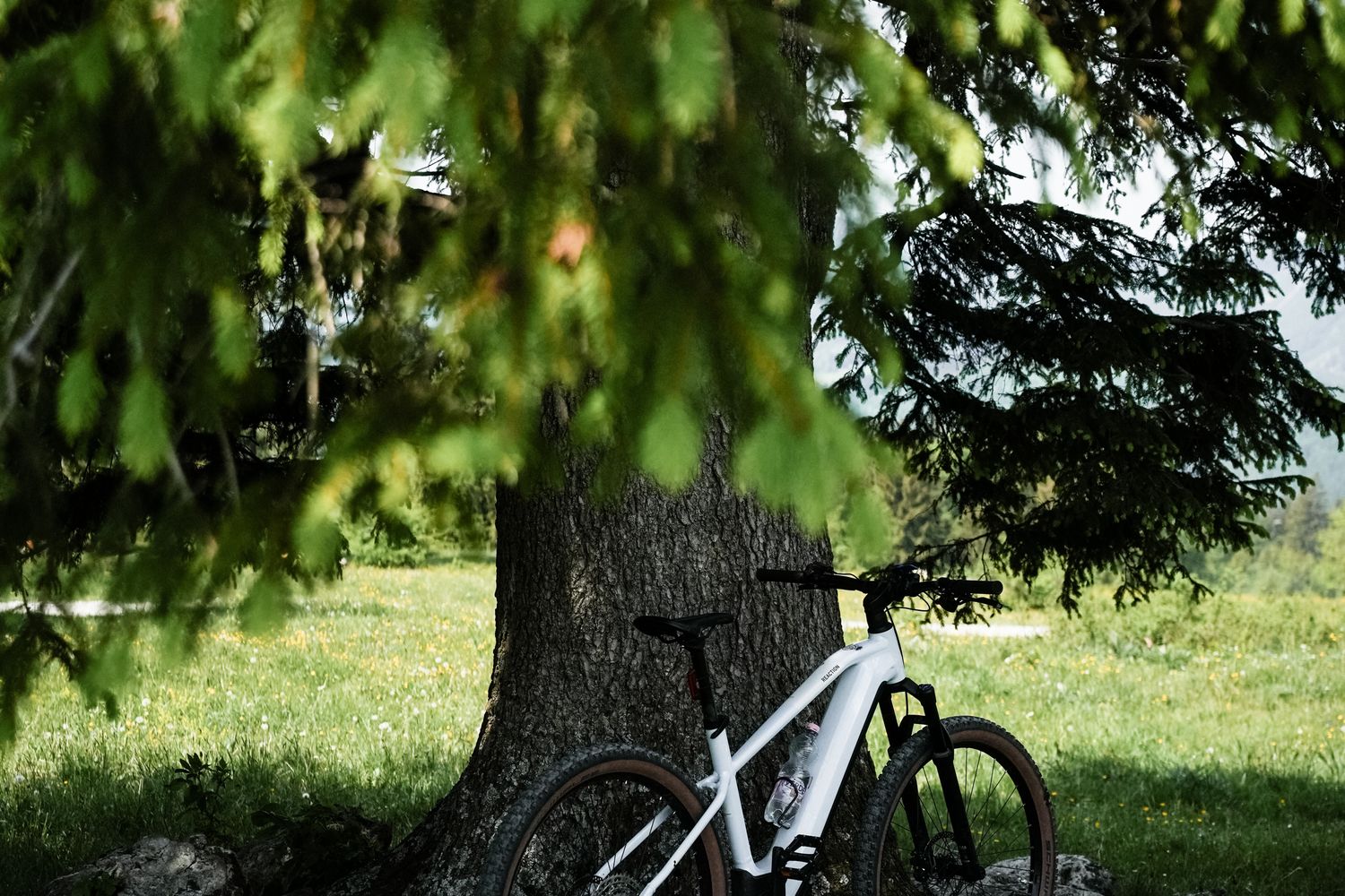 Mountainbike-Action am Muckenkogel